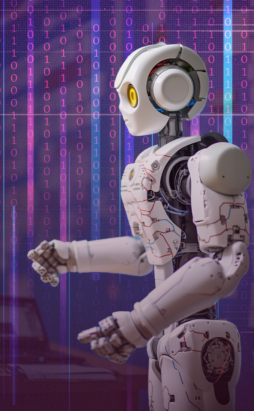 Portfolio Gallery Image